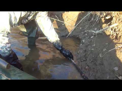 Видео: Установка капкана №5 с утоплением на бобра