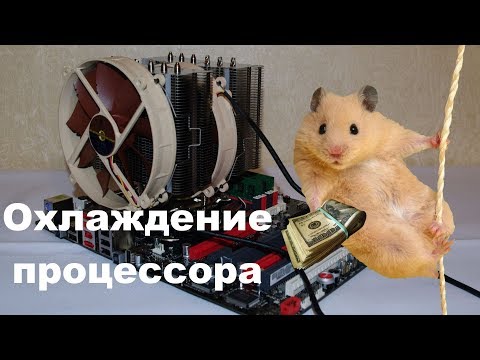Видео: ХОМЯК И МАРКЕТИНГ. Охлаждение процессора
