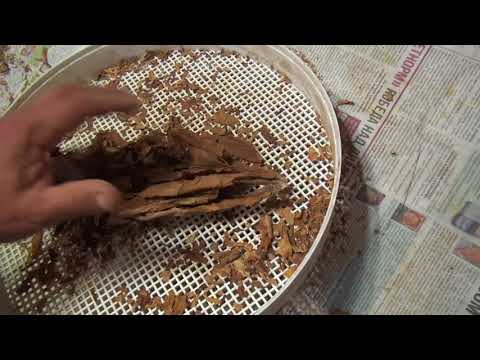 Видео: 22. Полезное видео. Хранение табака (2)