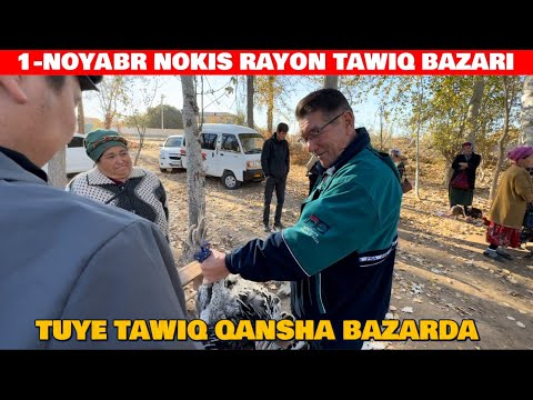 Видео: 1-НОЯБРЯ НОКИС РАЙОН ТАУЫК БАЗАР БАХАЛАРЫ ТУЙЕТАУЫК МАКЕН КОРАЗ
