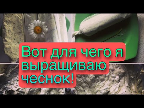 Видео: Вкуснейшее масло из чесночных стрелок