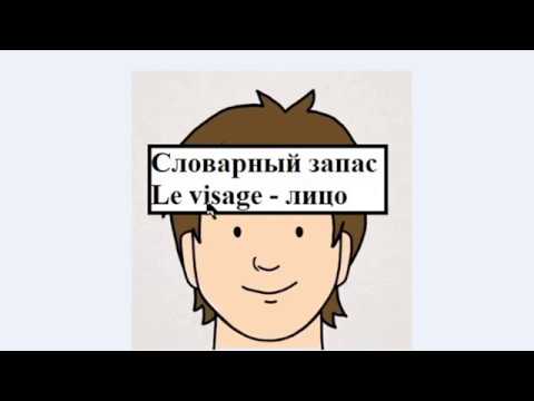 Видео: Le visage - лицо (словарный запас на французском)