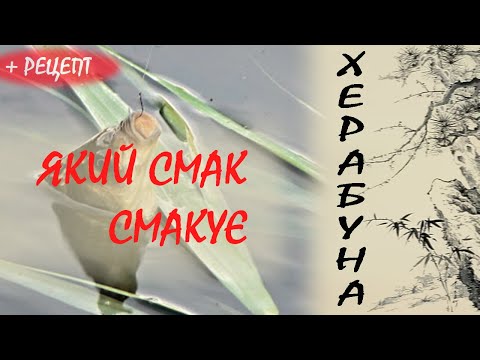 Видео: Про те який смак до вподоби рибі.  Рецепт тіста для херабуни.