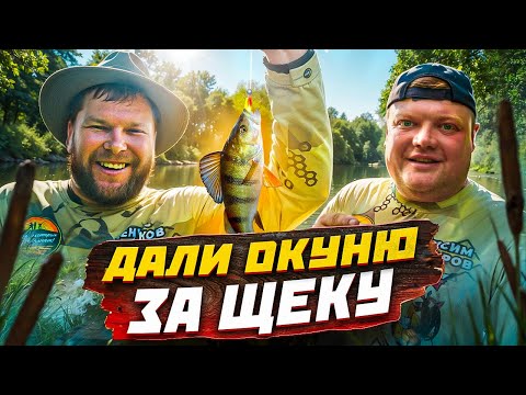 Видео: ДАЛИ ОКУНЮ ЗА ЩЕКУ. Приготовили тако на рыбалке