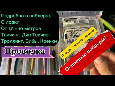 Видео: Воблеры с лодки! На все случаи. Твичинг. Дипы. Троллинг. Вибы. Пауэр данк. Проводка