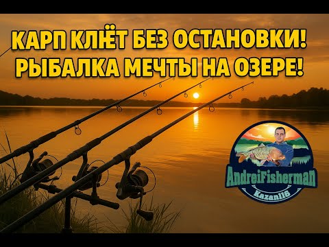 Видео: Попап, карп и паровоз! Сазан рвёт снасти — рыбалка 2025 🔥