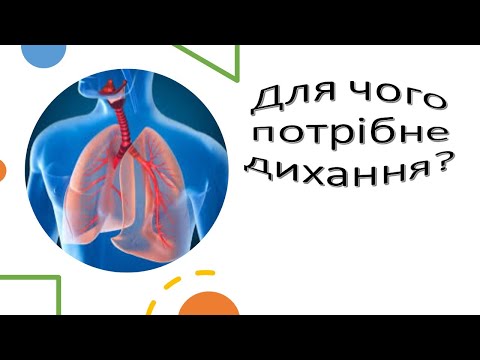 Видео: Урок 90.  Для чого потрібне дихання?Дихальна система. Я досліджую світ 3 клас.