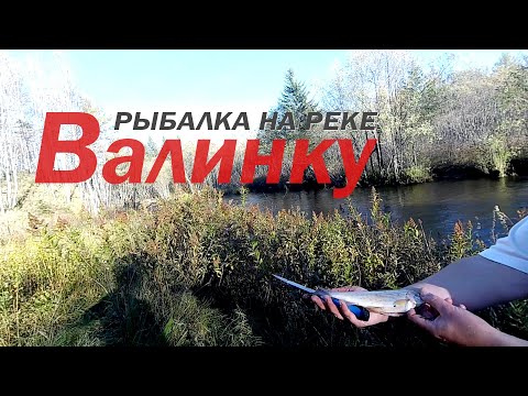 Видео: Рыбалка на реке Валинку и Дальняя. 22 - 24 сентября 2022 года.