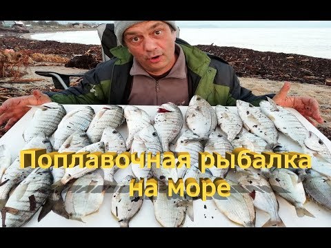 Видео: Поплавочная рыбалка на море. Кастинг или поплавок?