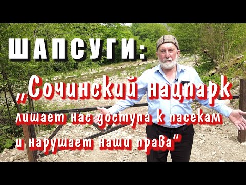 Видео: ШАПСУГИ: "Сочинский нацпарк лишает нас доступа к пасекам и нарушает наши права"