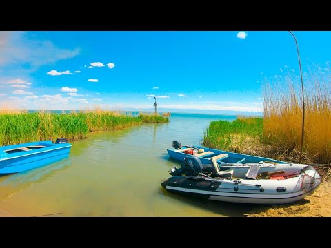 Видео: ЗДЕСЬ ВСЕГДА МНОГО РЫБЫ !!! Рыбалка на озере УСЕК, СУДАК, КАРАСЬ, СОМ, ВОБЛА, апрель 2025