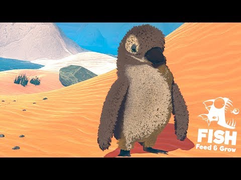 Видео: САМЫЙ ПУШИСТЫЙ И МИЛЫЙ ЗВЕРЁК! ПИНГВИНЁНОК РЫБИЙ ЧЕЛЛЕНДЖ! FEED AND GROW FISH