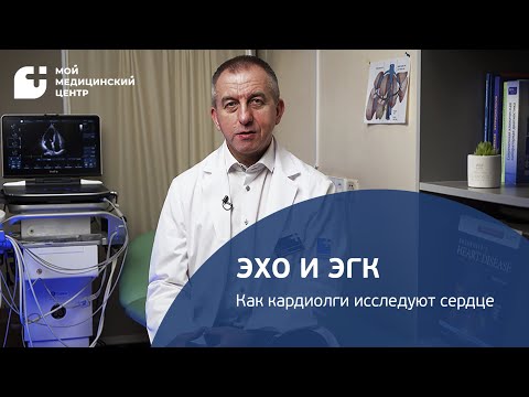 Видео: ЭКГ и ЭХО: как и зачем исследуют сердце