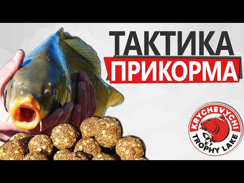 Видео: Как ловить НЕАКТИВНУЮ рыбу!