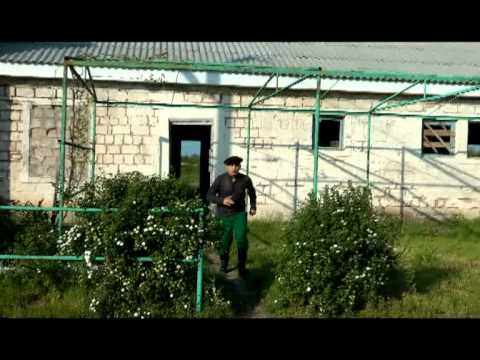 Видео: Аслан Кулов- ФIыуэ слъагъур фэращ