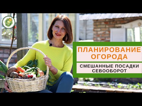 Видео: ПЛАНИРОВАНИЕ ПОСАДОК НА ОГОРОДЕ - севооборот, смешанные посадки, совместимость растений