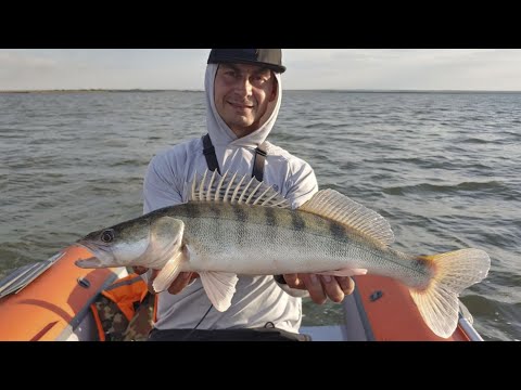 Видео: Ловим Судака летом!!! Рыбалка на Веселовском водохранилище 2022
