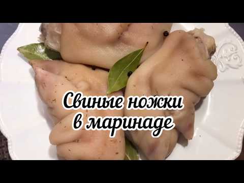Видео: Можож / Свиные ножки в маринаде. Закуска для гурманов