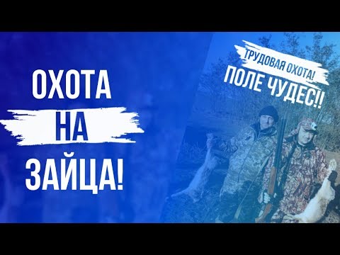 Видео: Охота на зайца!Трудовая охота и поле чудес!