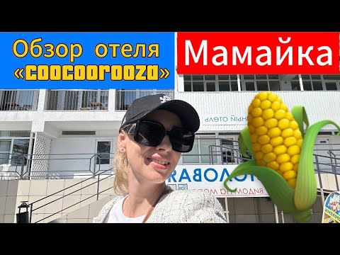 Видео: СОЧИ 2024// МАМАЙКА// ОБЗОР ОТЕЛЯ «COOCOOROOZA»// ЧТО СТОИТ ОЖИДАТЬ ОТ ОТЕЛЯ 2 ЗВЕЗДЫ?