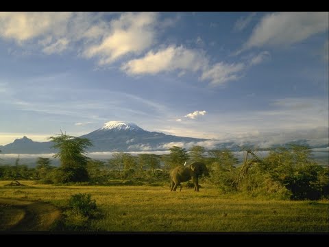 Видео: Синдром выученной беспомощности. Как избавиться от беспомощности