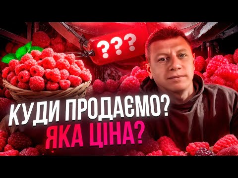 Видео: 🟥 ЯКА ЦІНА НА МАЛИНУ І КУДИ ПРОДАЄМО❓