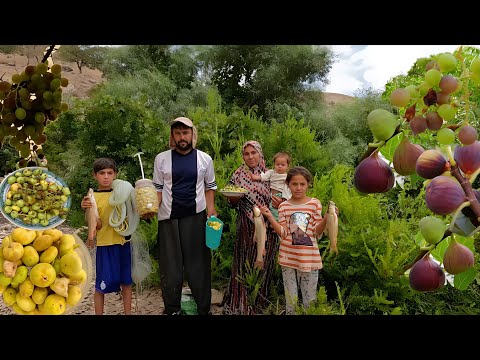 Видео: Борьба за выживание | Дикие горные приключения кочевой семьи | Кочевая жизнь в Иране