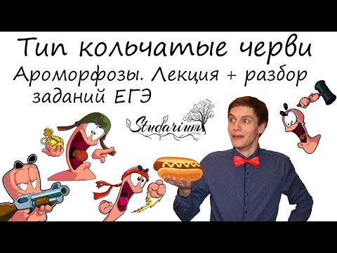 Видео: Тип Кольчатые черви. Ароморфозы. Лекция и разбор заданий от Юрия Беллевича