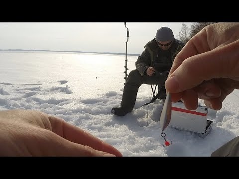 Видео: Как играют разные маропедки на глубине (в зависимости от типа проводки блесны)