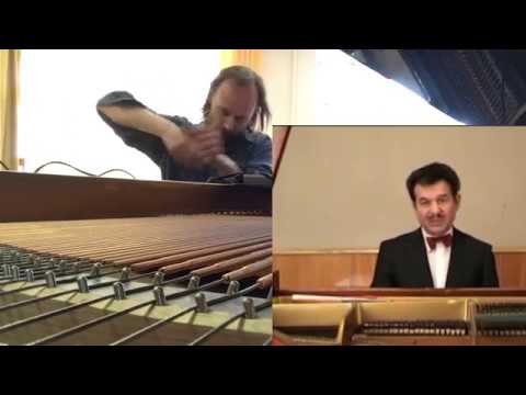 Видео: Волкову Владиславу. 1-я серия.  Гармоническая темперация. Стабильность строя.