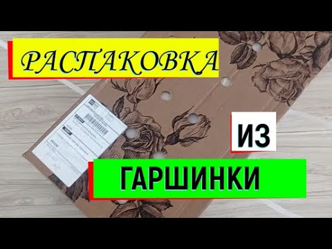 Видео: #посылка РАСПАКОВКА ИЗ ГАРШИНКИ! #наизнанку #саженцы #саженцыпочтой #гаршинка #саженцыпиона #длясада