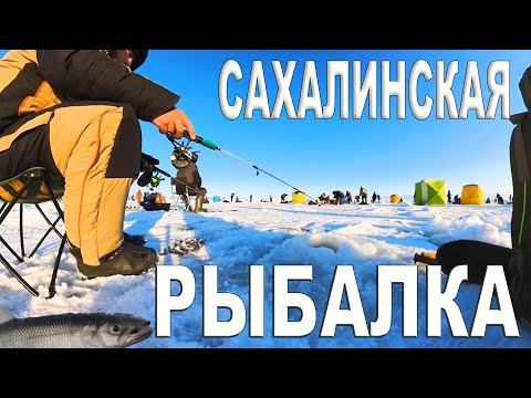 Видео: Зимняя Рыбалка на Сахалине / Ловим зубаря в море #рыбалка #fishing #fish #сахалин