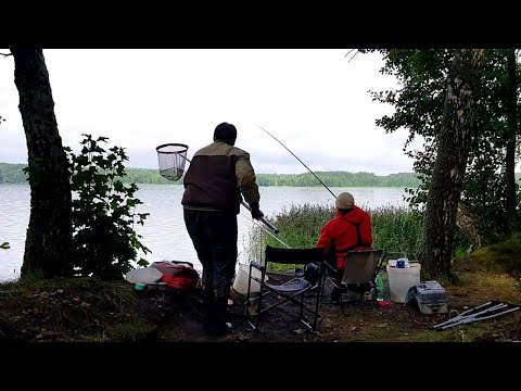 Видео: Последствия Аномальной Жары на Чигиринском Водохранилище! Рыбалка с Ночевкой. Фидер на Карася.