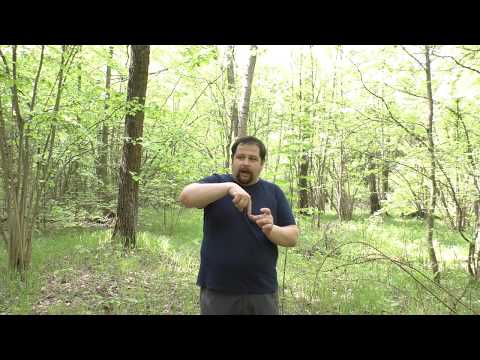 Видео: Уволили по статье. Как дальше жить?