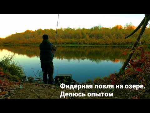 Видео: О ловле на фидер в илистых озёрах. Может кому пригодится информация