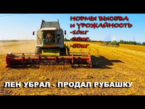 Видео: Урожайность льна на разных нормах высева