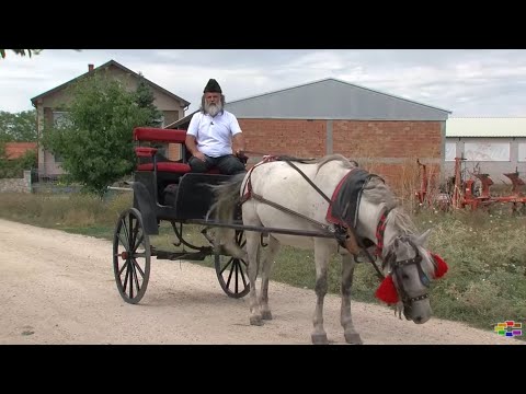 Видео: МОЕ СЕЛО - Село Трн со Перо Цаца (дел 1)