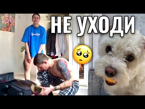 Видео: НАШЛА СОБАКУ А ОН УЕХАЛ