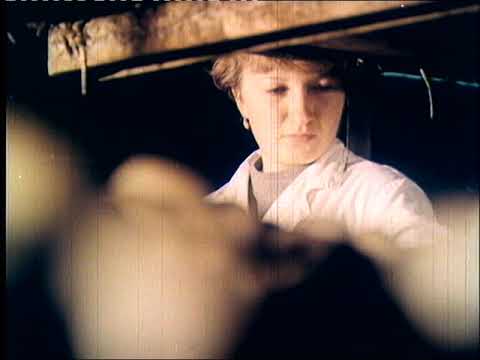 Видео: Энергобиологический комплекс