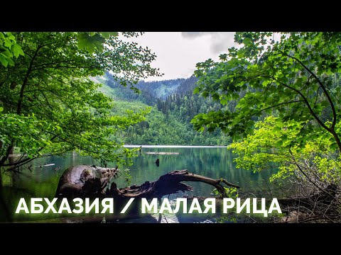 Видео: АБХАЗИЯ #1. Как добраться до озера МАЛАЯ РИЦА. Дойдет НЕ КАЖДЫЙ, понравится ВСЕМ. Реликтовый ЛЕС