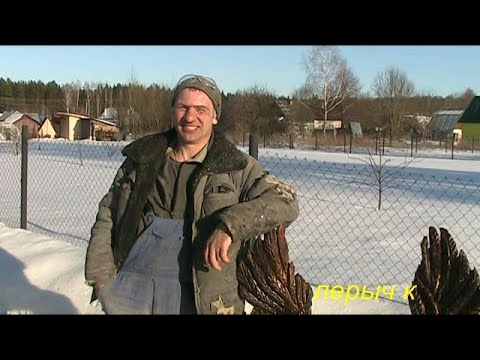 Видео: Андрей и ОРЛЫ