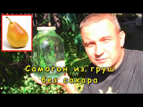 Видео: Самогон из груш (без сахара)