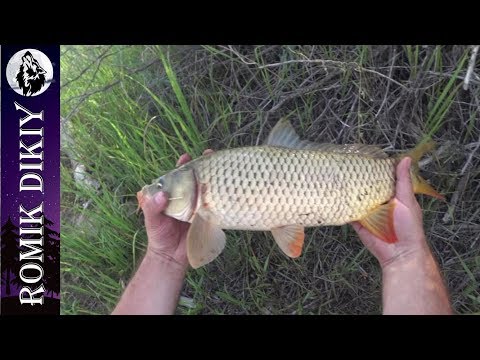 Видео: Открытие летнего сезона. Река Или. Рыбалка состоялась (7-9 июня 2019г.)