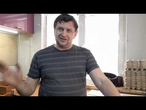 Видео: Серия 1. Выбор червя. Выращивания червя в домашних условиях от А до Ы.