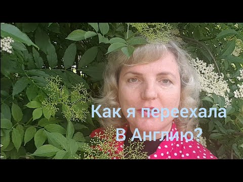 Видео: Как я переехала в Англию? История моего переезда. Есть ли у меня гражданство? Отвечаю на вопросы.