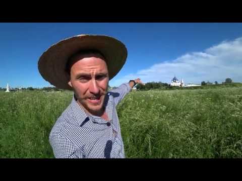 Видео: Суздаль - Видео экскурсия по городу. Экскурсовод Александр Варламов