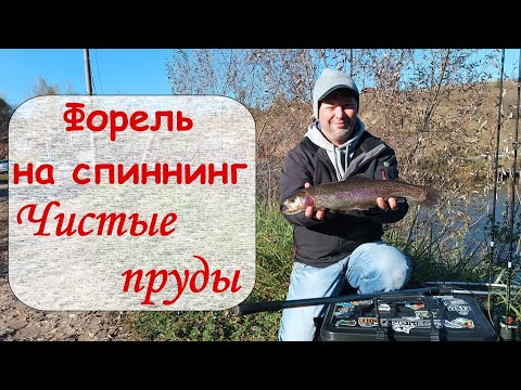 Видео: Форель на спиннинг.  Чистые пруды