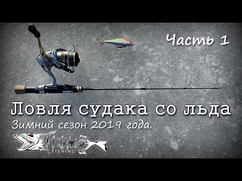 Видео: Ловля судака со льда на вибы. Часть 1.