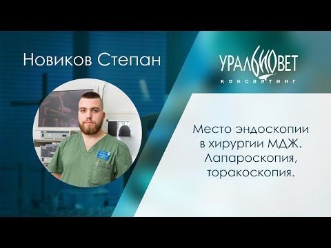 Видео: Место эндоскопии в хирургии МДЖ. Лапароскопия, торакоскопия. Новиков Степан #убвк_хирургия