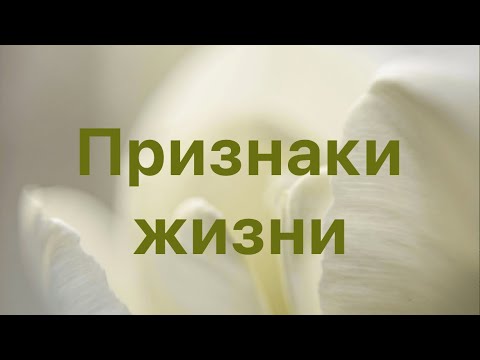 Видео: Признаки жизни